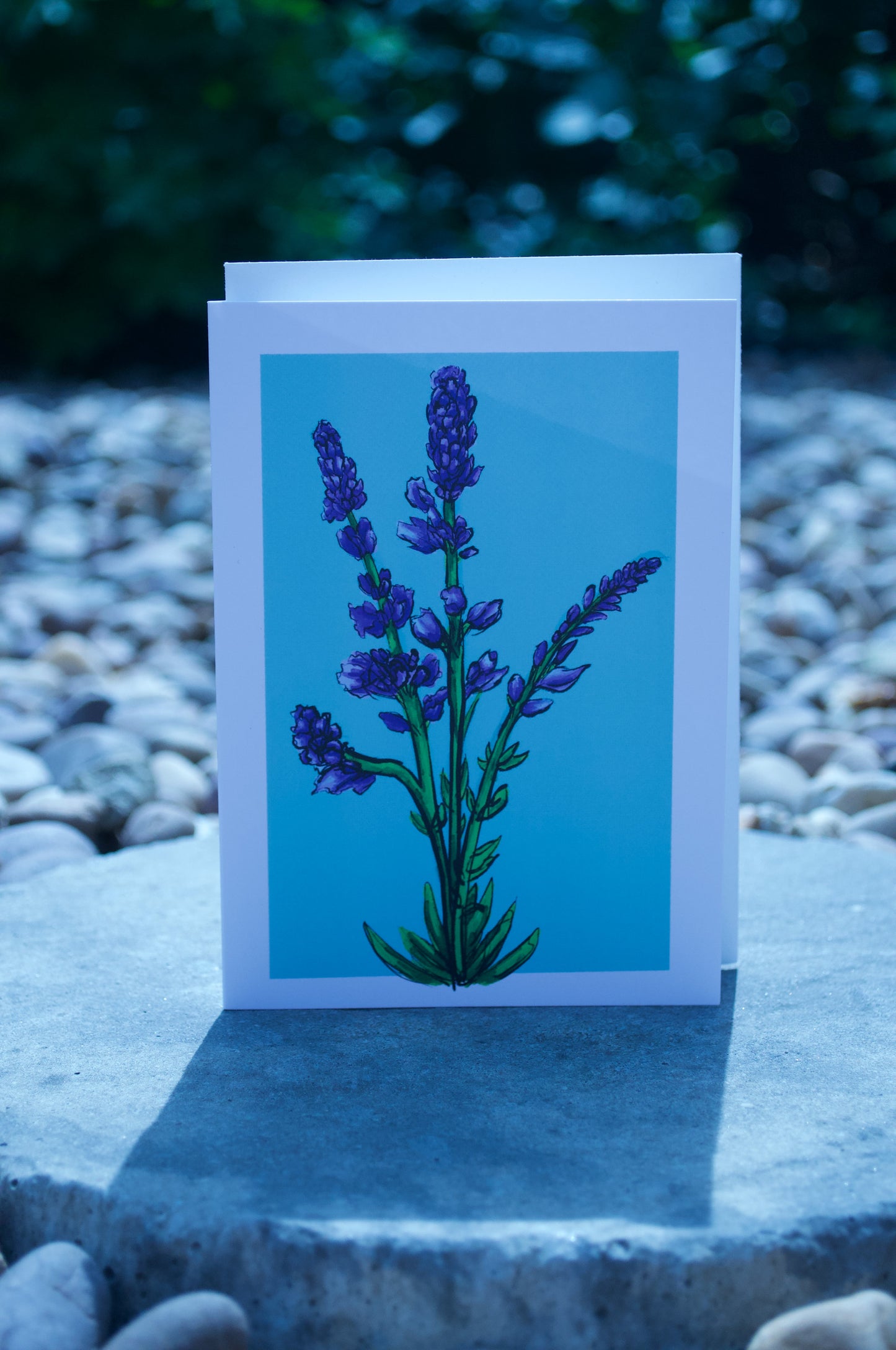 Lavender card
