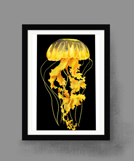 Julian the jellyfish